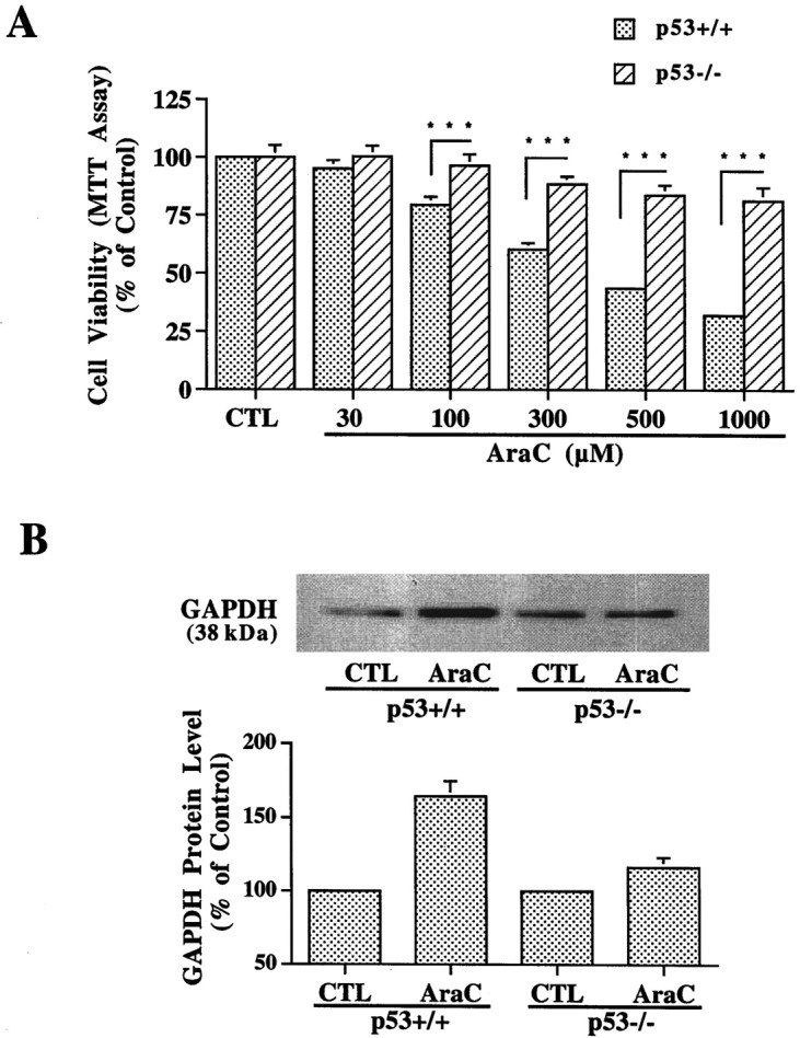 Fig. 10.