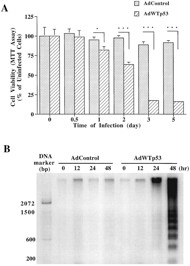 Fig. 12.