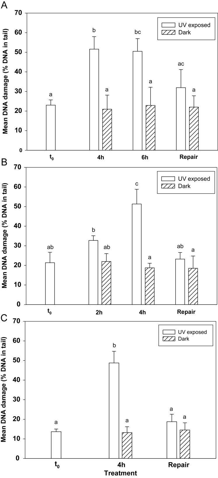 Fig. 2.