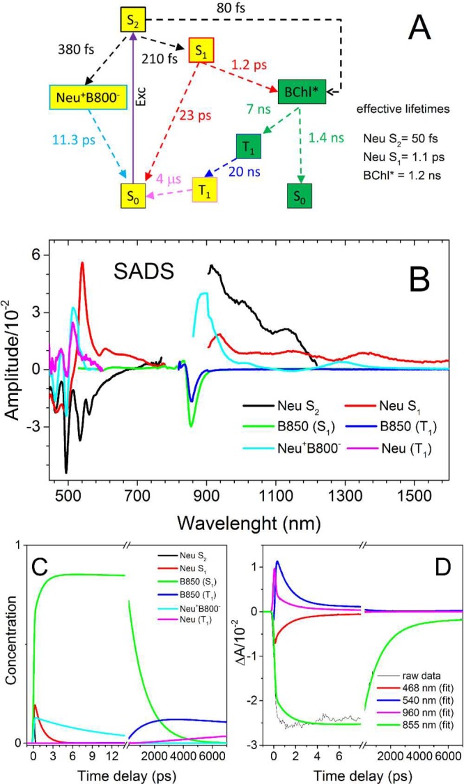 Figure 7