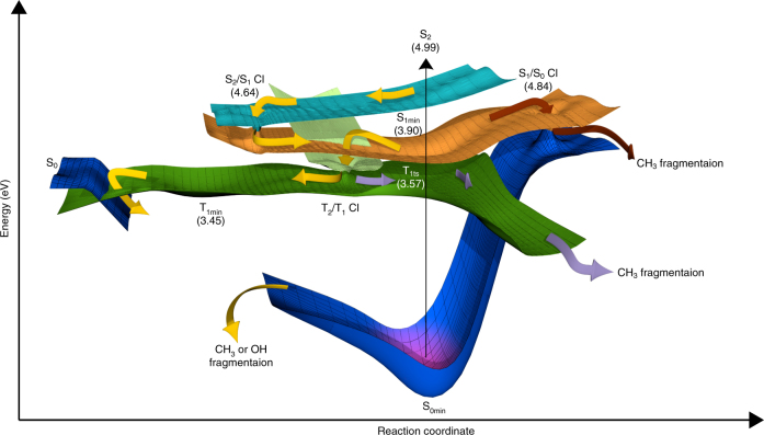 Fig. 6