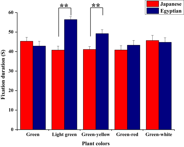 Figure 6