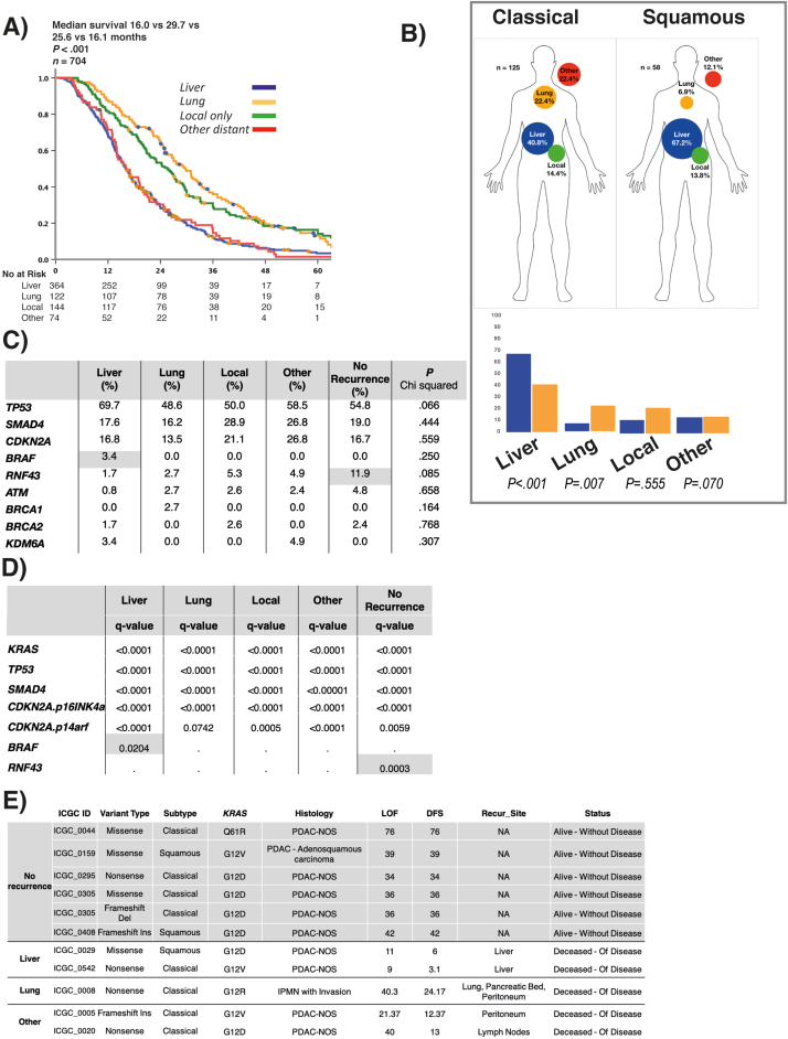 Supplementary Figure 1