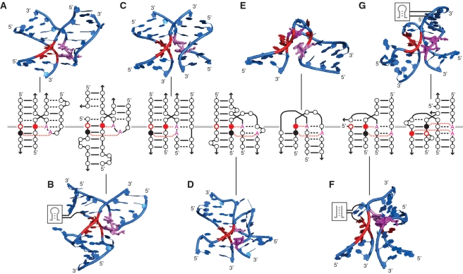 Figure 7.