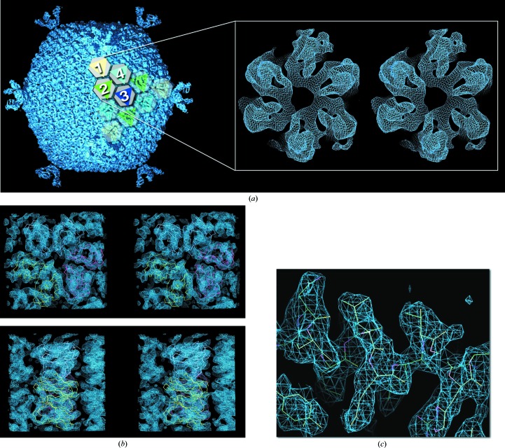 Figure 4