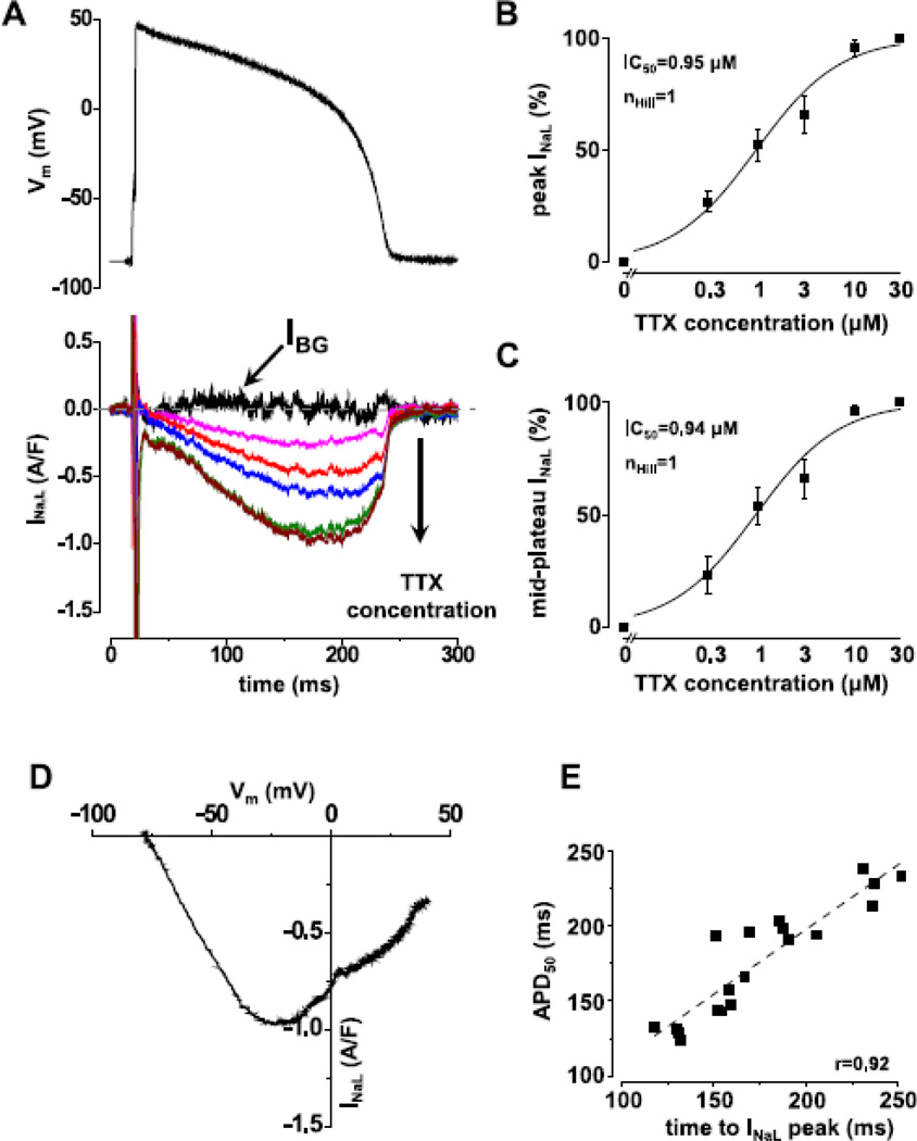 Fig.1