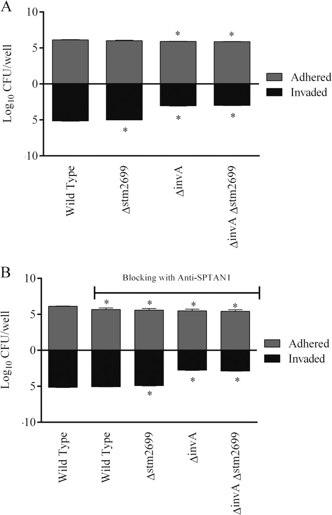 FIG 6