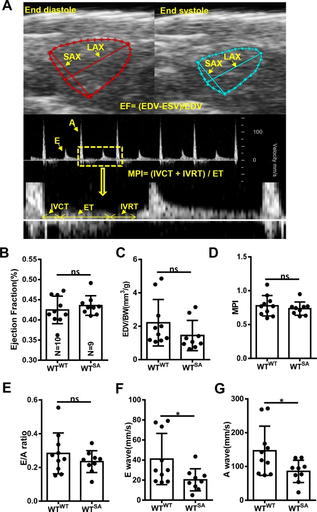 Fig 8