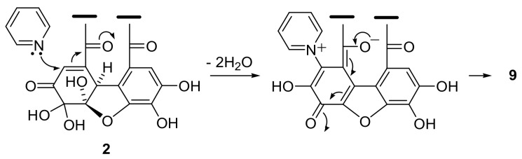 Scheme 3