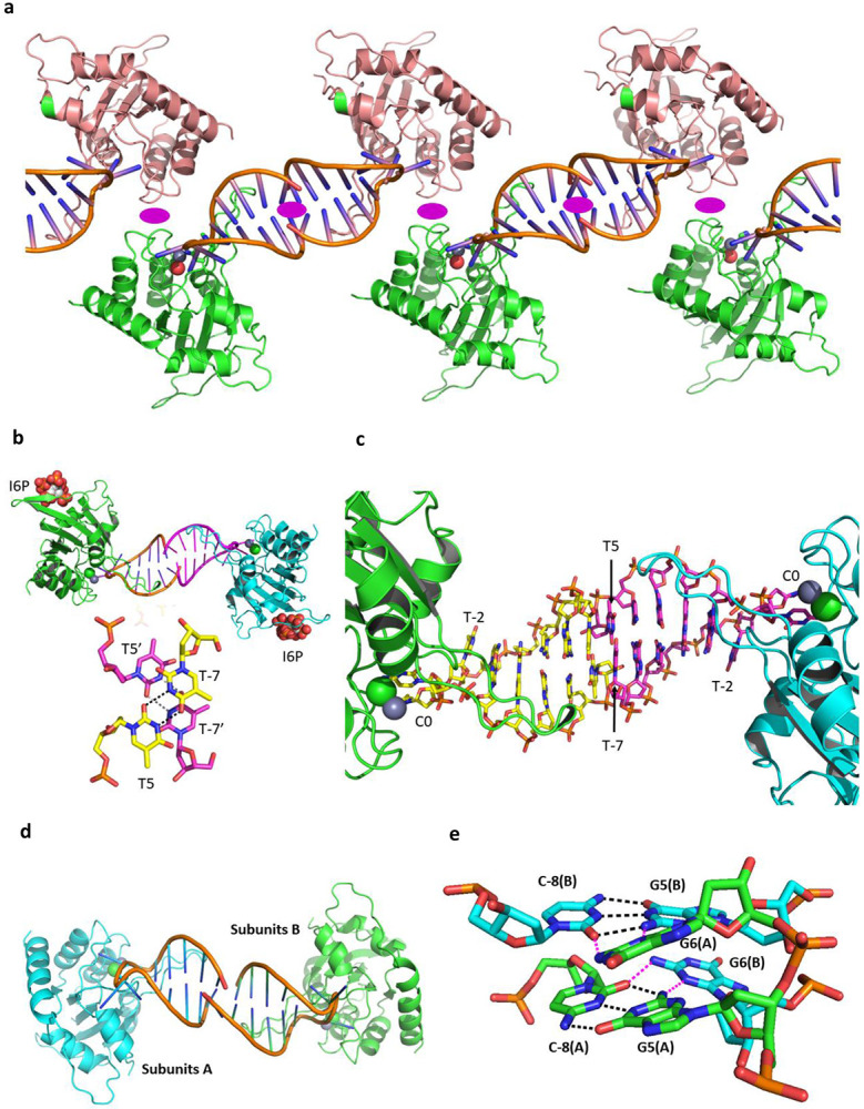 Extended Data Fig. 2 ∣