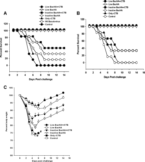 FIG. 7.