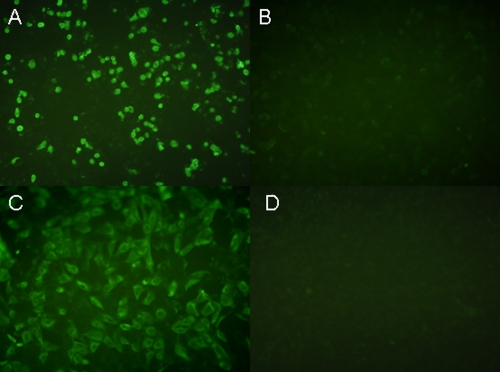 FIG. 2.