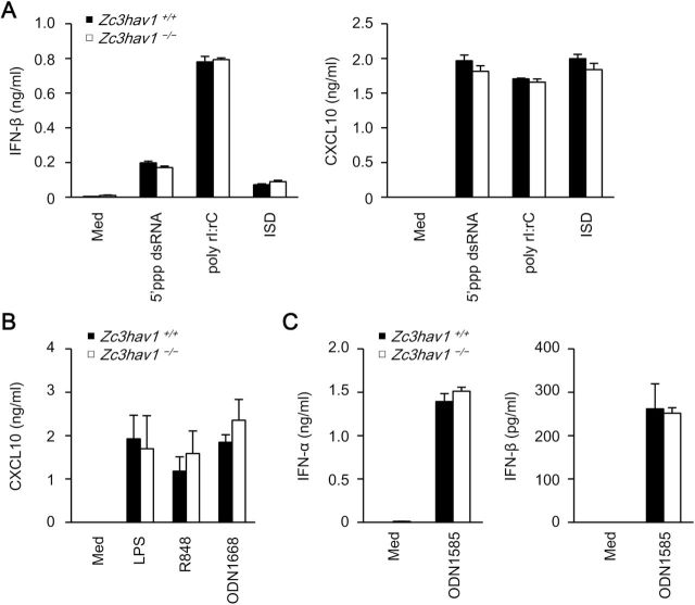 Fig. 4.