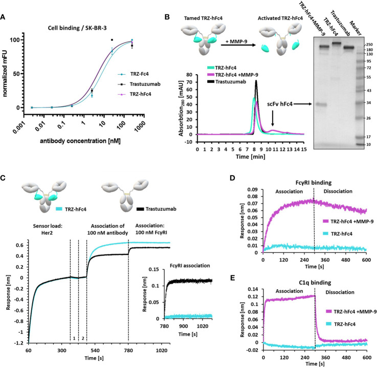 Figure 3