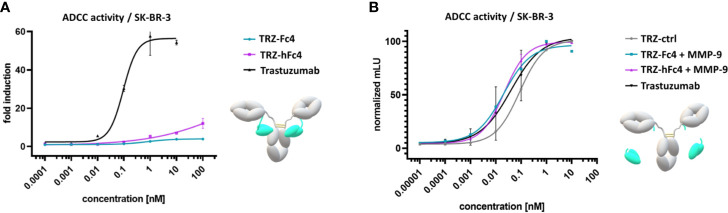 Figure 4