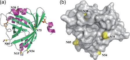 FIGURE 1.