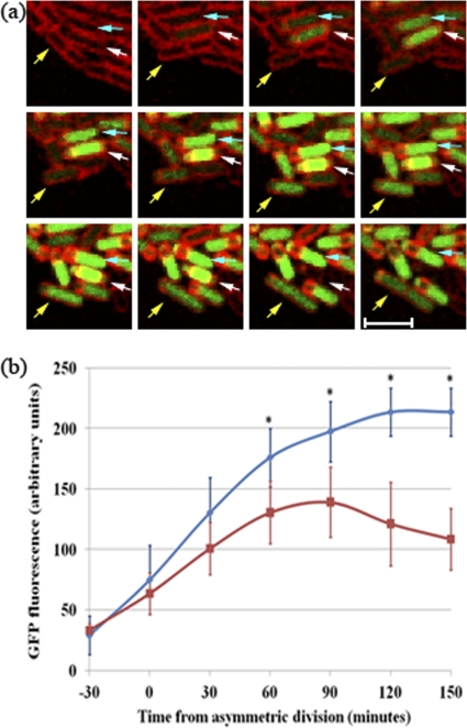 Fig. 4.