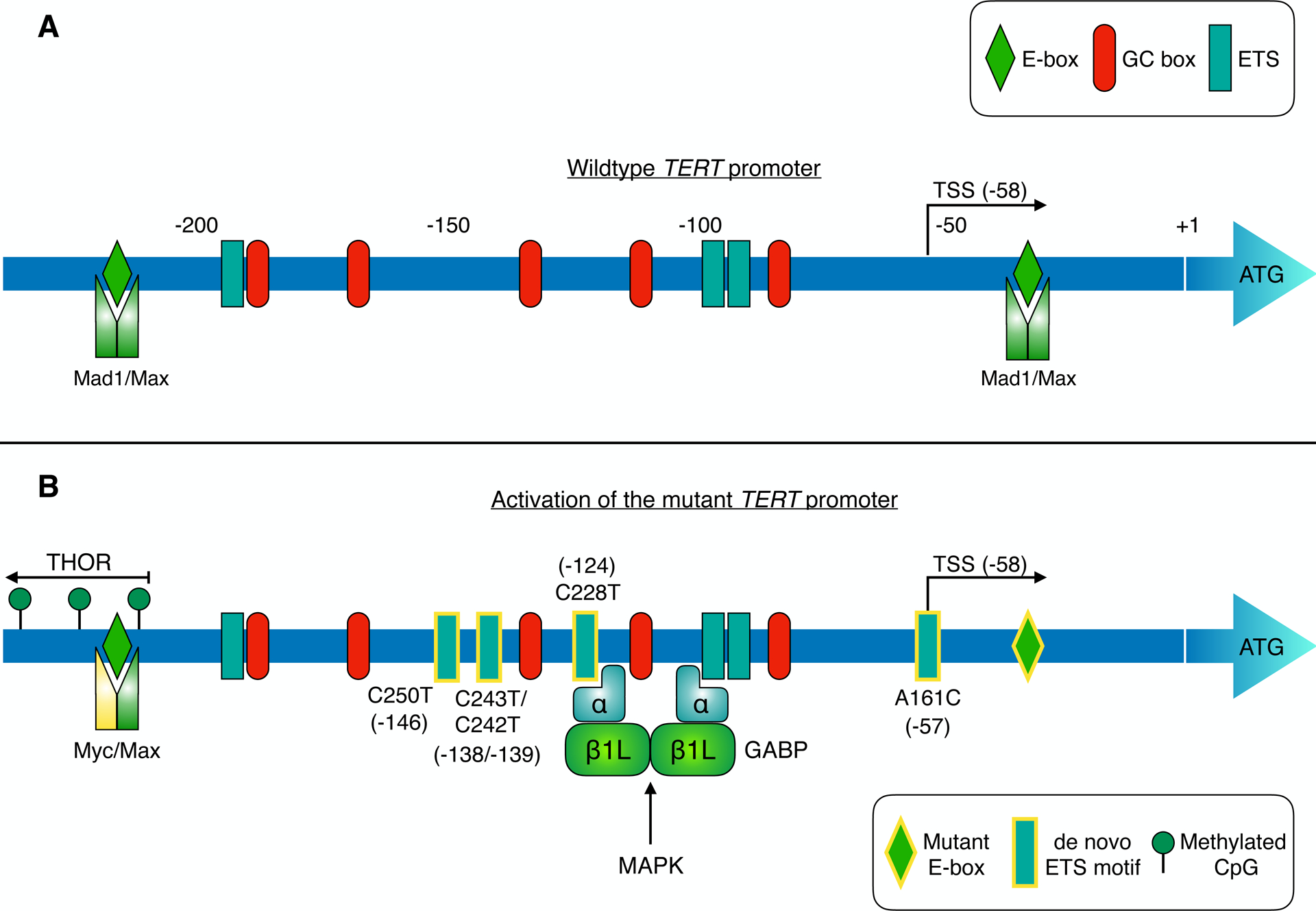 Figure 2 –