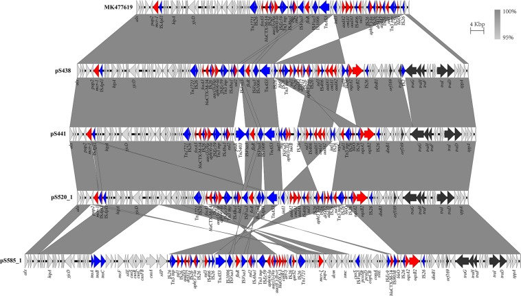 FIGURE 1