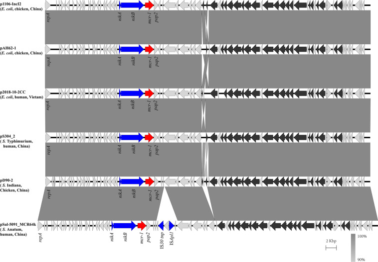 FIGURE 2