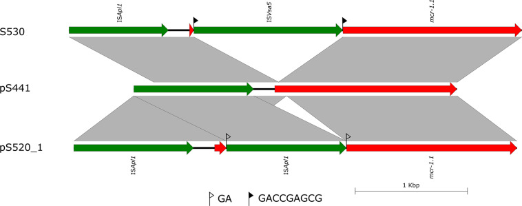 FIGURE 3