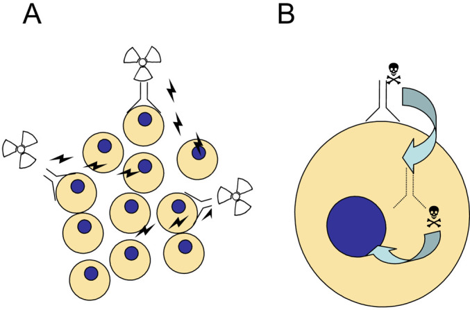 Fig. 2