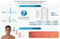Graphical Abstract