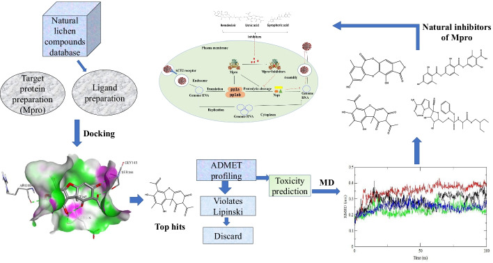 graphic file with name 12010_2022_4103_Figa_HTML.jpg