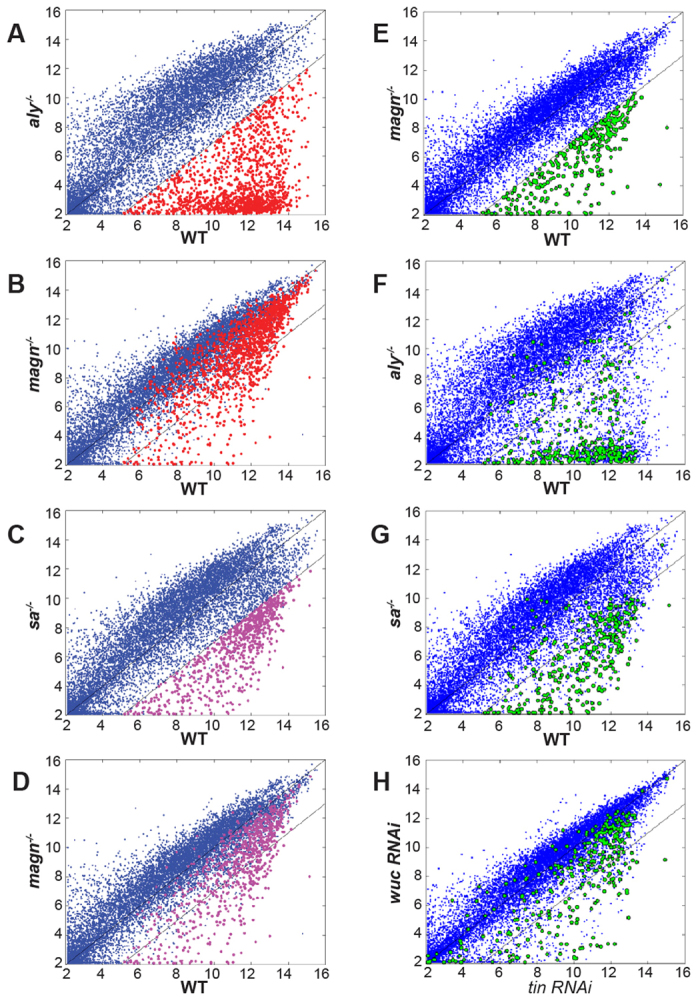 Fig. 7.