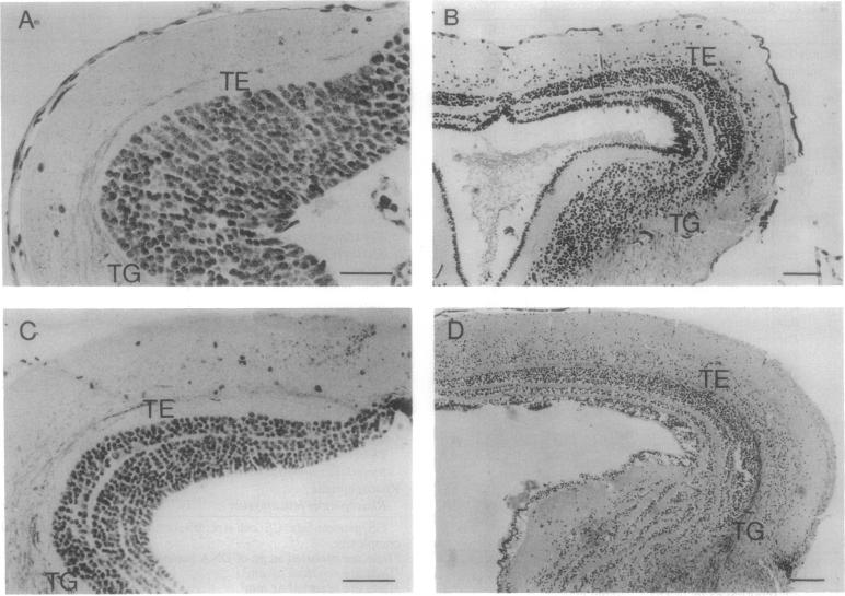 graphic file with name pnas01133-0198-a.jpg