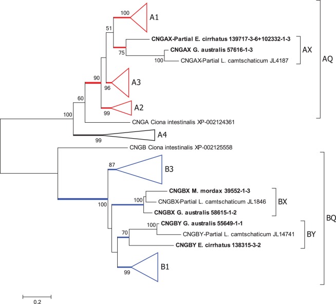 Fig. 6