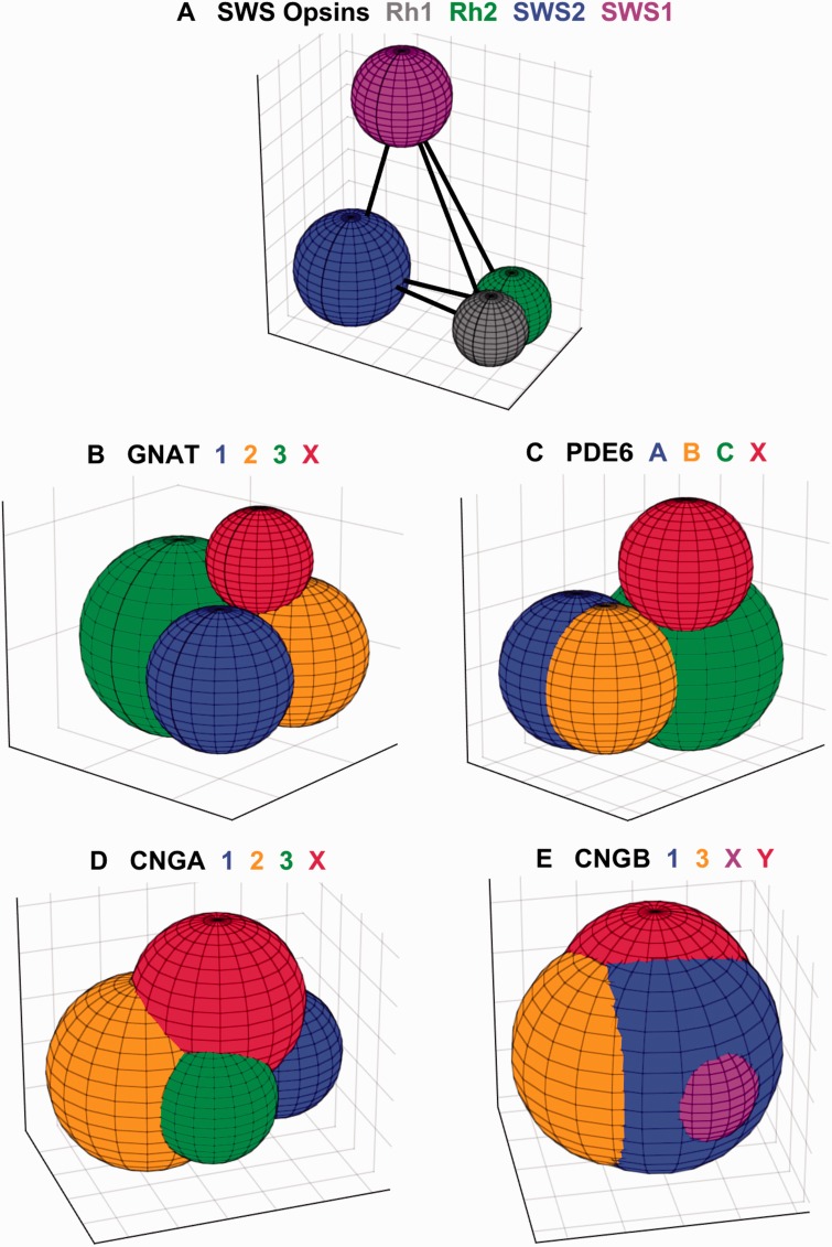 Fig. 3