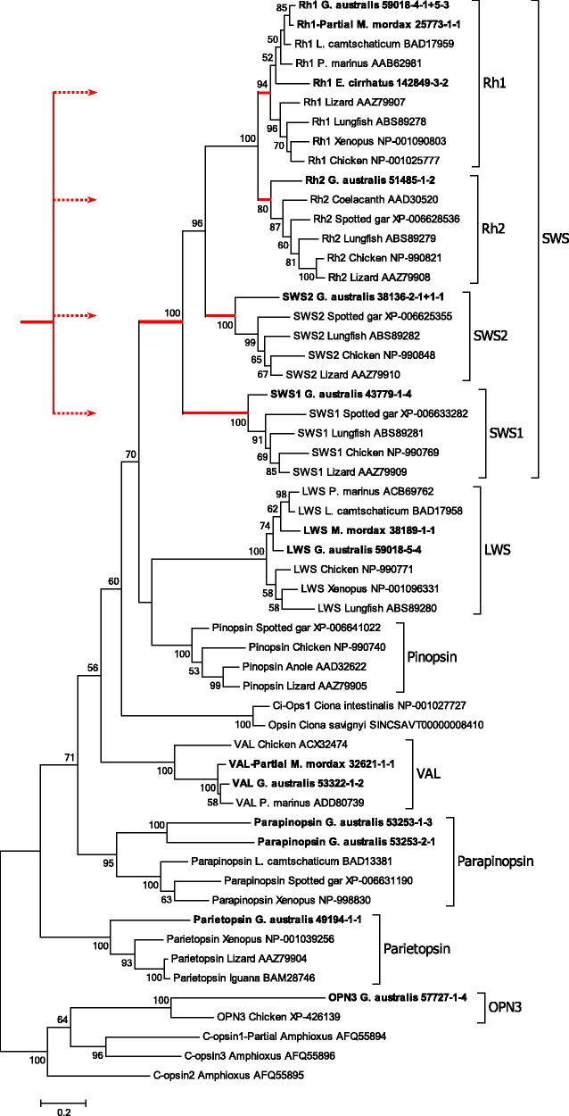 Fig. 2