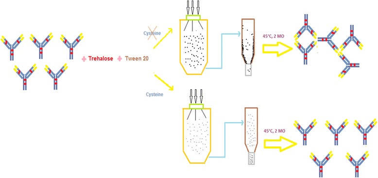 Graphical abstract