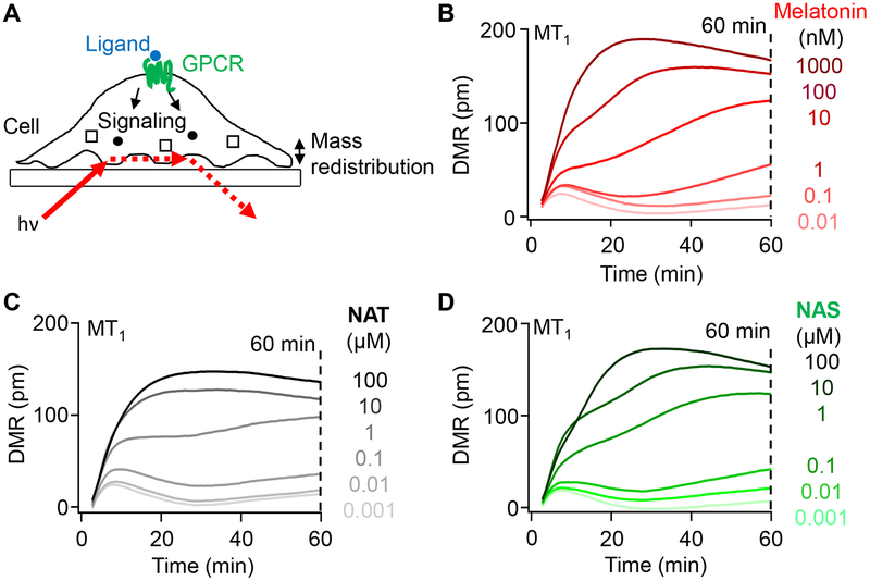 Figure 2.