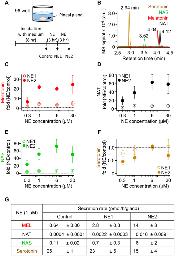 Figure 6.