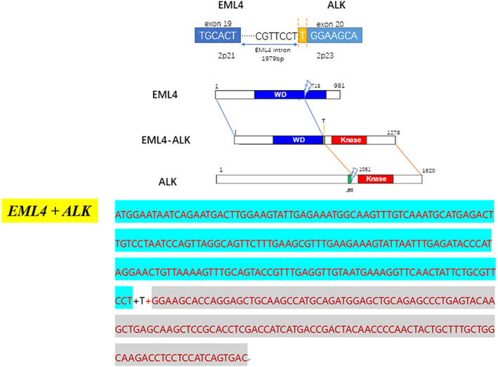 FIGURE 3