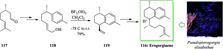 Scheme 24