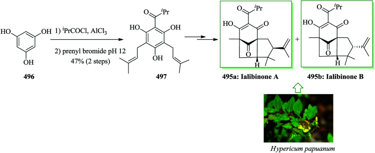 Scheme 106