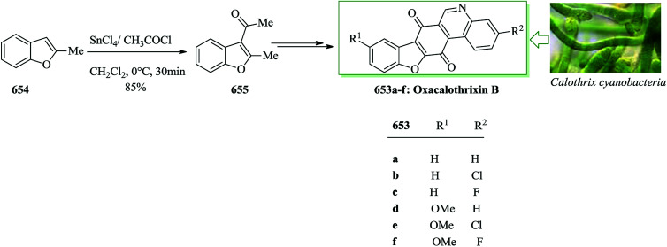 Scheme 142