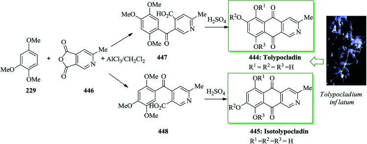 Scheme 94