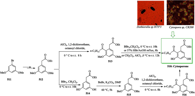 Scheme 110