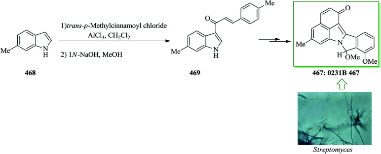 Scheme 99