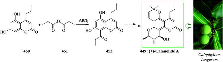 Scheme 95