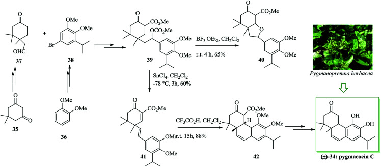 Scheme 7