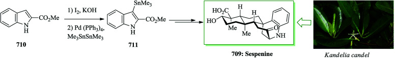 Scheme 153