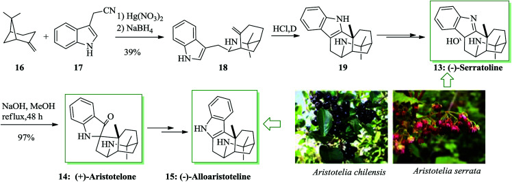 Scheme 3