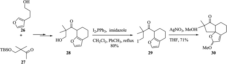 Scheme 5