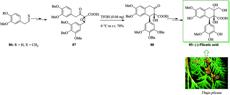 Scheme 17