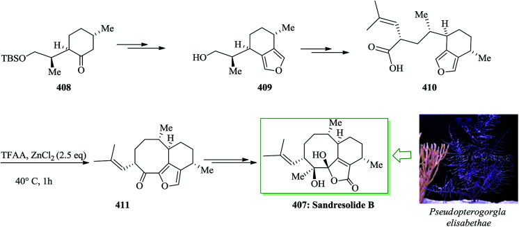 Scheme 86